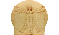 L'homme de Vitruve (20x19cm) - Sticker/autocollant