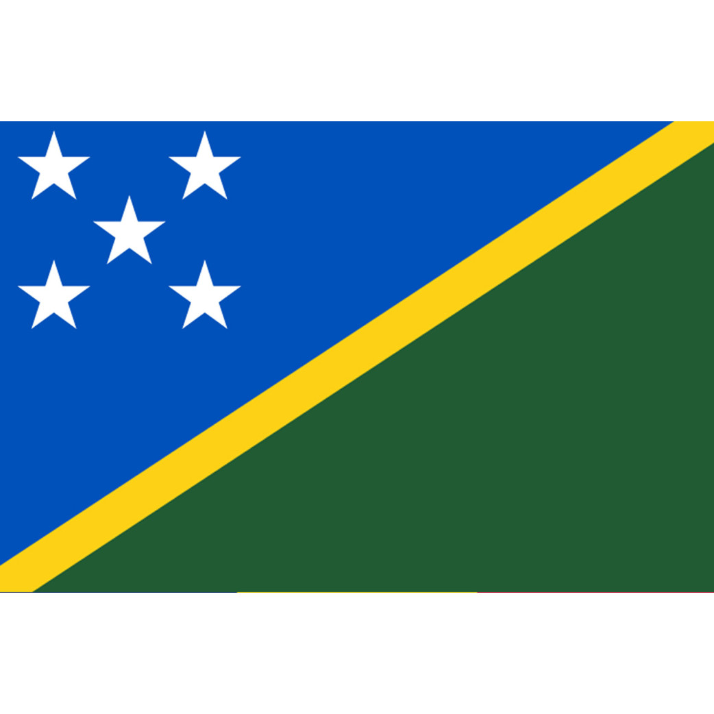 Drapeau Salomon (19.5x13cm) - Sticker/autocollant