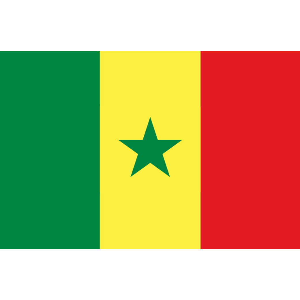 Drapeau Sénégal (5x3.3cm) - Sticker/autocollant