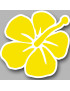 Repère fleur 3 - 15cm - Sticker/autocollant