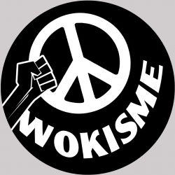 Symbole Wokisme (5x5cm) - Sticker/autocollant