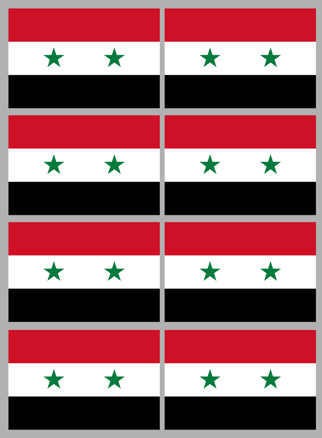 Drapeau Syrie av.2024 (8 stickers - 9.5 x 6.3 cm) - Sticker/autocollant