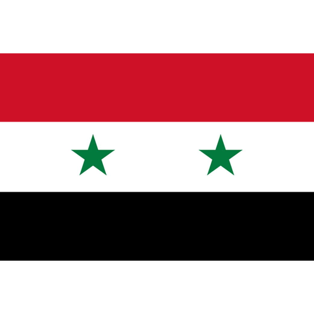 Drapeau Syrie av.2024 (19.5 x 13 cm) - Sticker/autocollant