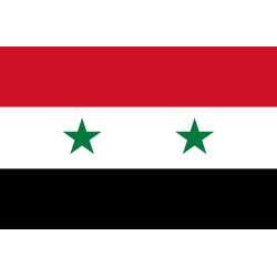 Drapeau Syrie av.2024 (5 x 3.3 cm) - Sticker/autocollant