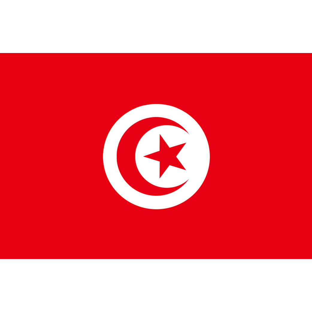 Drapeau Tunisie (15 x 10 cm) - Sticker/autocollant