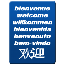 Bienvenue international (10x7cm) - Sticker / autocollant