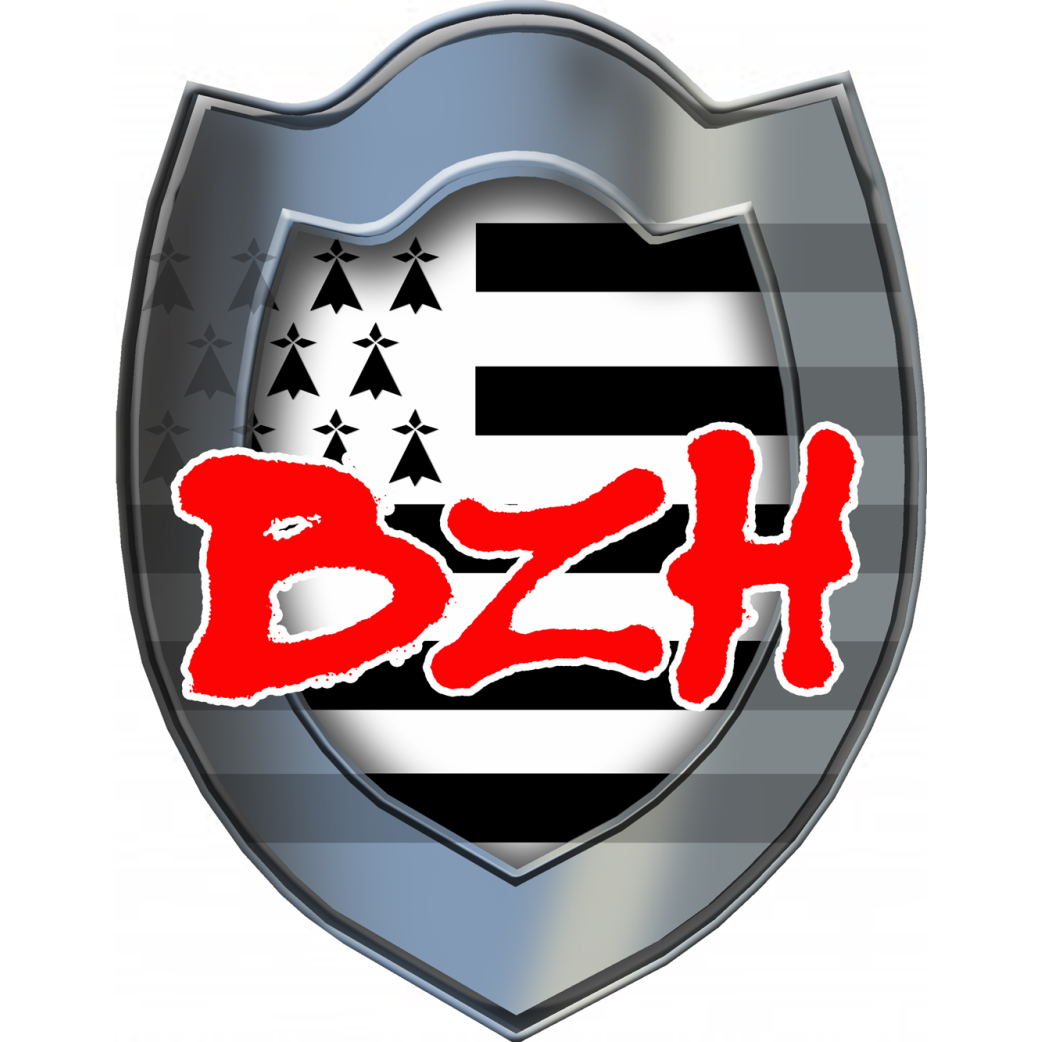 Bouclier BZH (5x4cm) - Sticker/autocollant