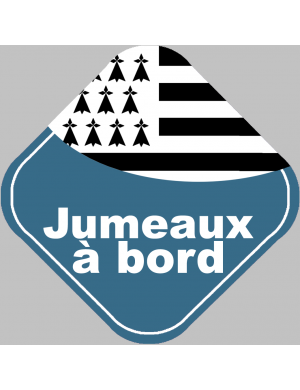 bébés à bord jumeaux bretons (15x15cm) - Sticker/autocollant
