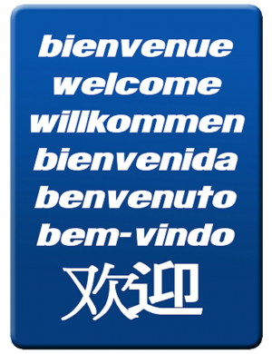 Bienvenue international (15x11cm) - Sticker / autocollant