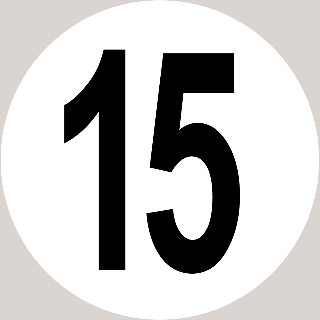 Disque de vitesse 15 - 15cm - Sticker/autocollant