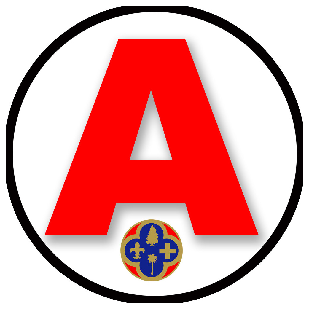 A 06 Les Alpes-Maritimes - 15cm - Sticker/autocollant