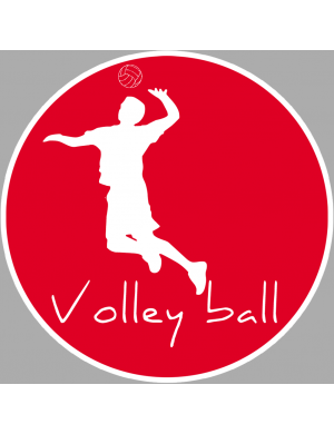 Volley ball - 20cm - Sticker/autocollant