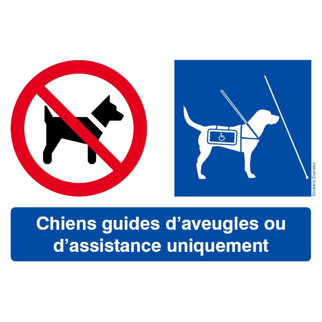 Interdit Sauf Chiens Guides (29x20cm) - Sticker / autocollant