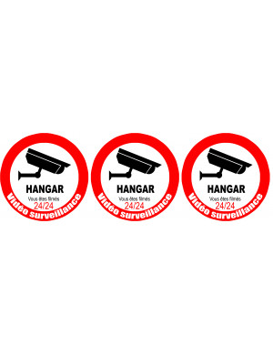 vidéo surveillance HANGAR - 3fois 5cm - Sticker/autocollant