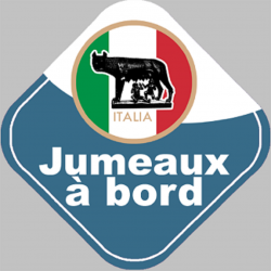 Autocollants : bebe a bord jumeaux d'origine Italienne