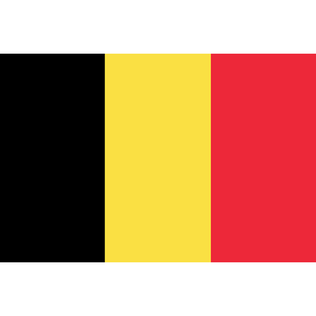 Drapeau Belgique - 19.5x13cm - Sticker/autocollant