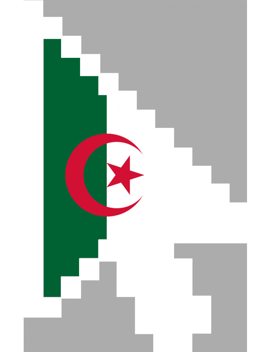 Curseur fléche Algérienne - 10x6.3cm - sticker/autocollant