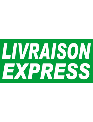 Livraison express vert - 30x14 cm - Sticker/autocollant