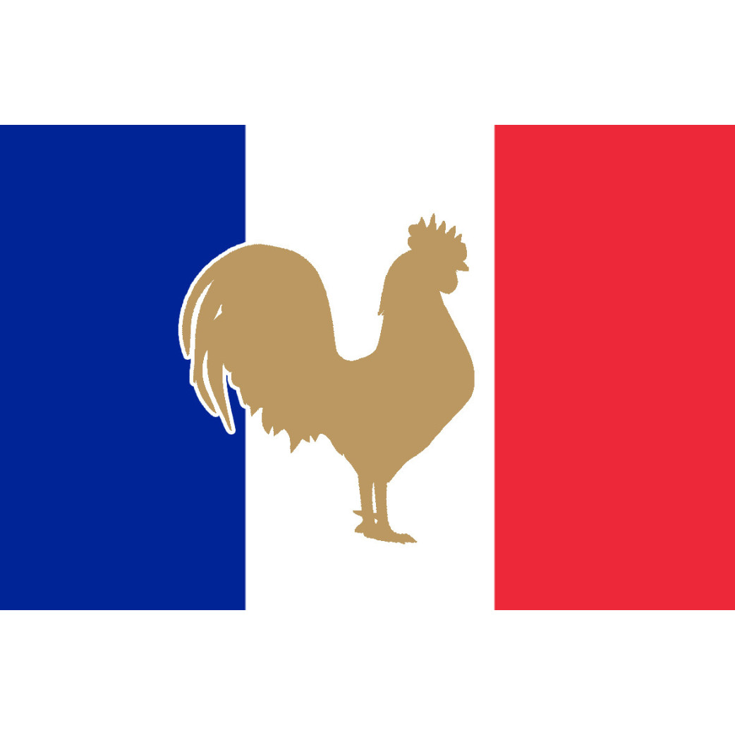Coq Français - 10x6.5cm - Sticker/autocollant