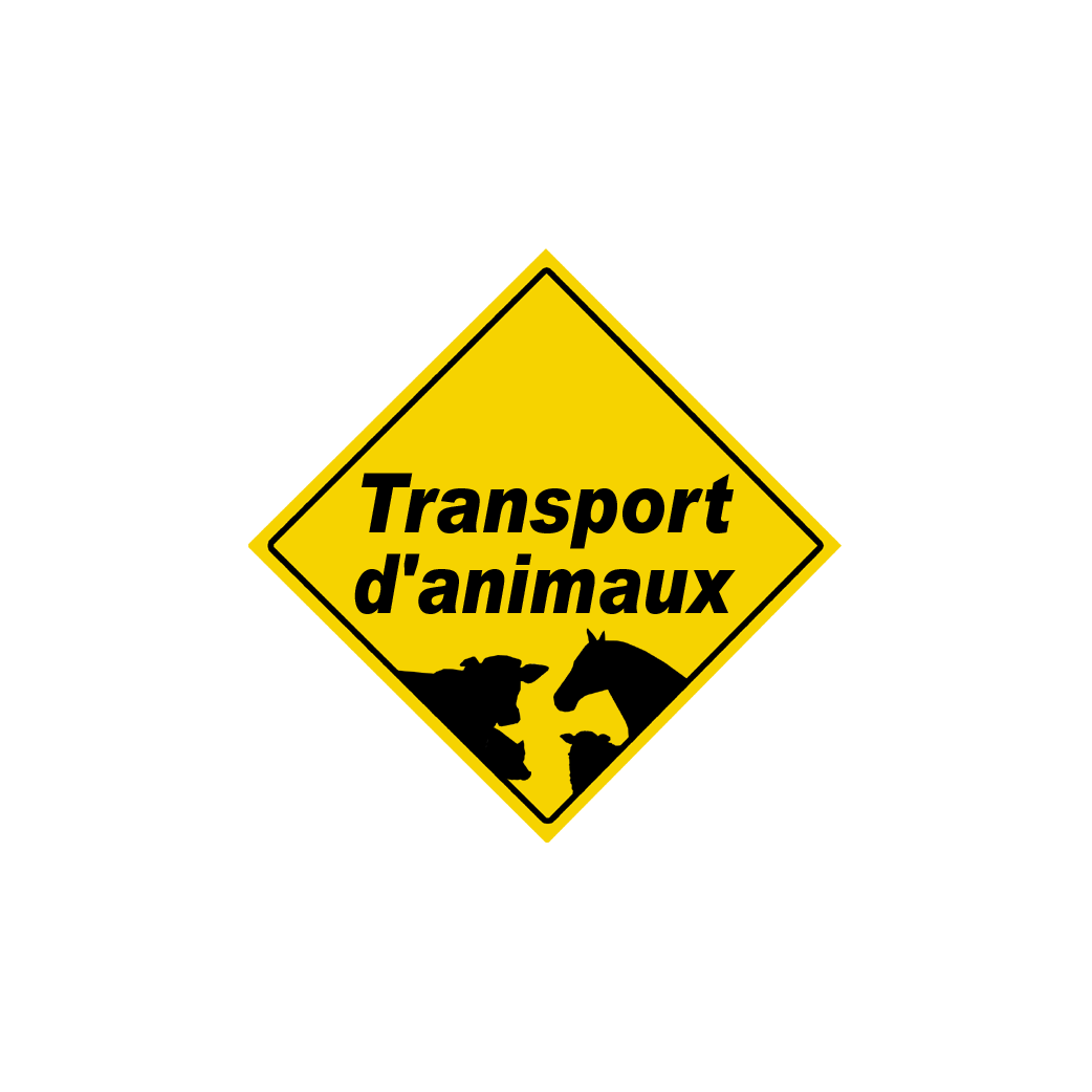 Transport d'animaux - 15x15cm - Sticker/autocollant