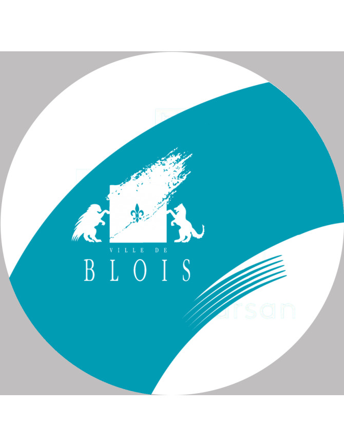Blois (5x5cm) - Sticker/autocollant Blois (5x5cm) - Sticker/autocollant