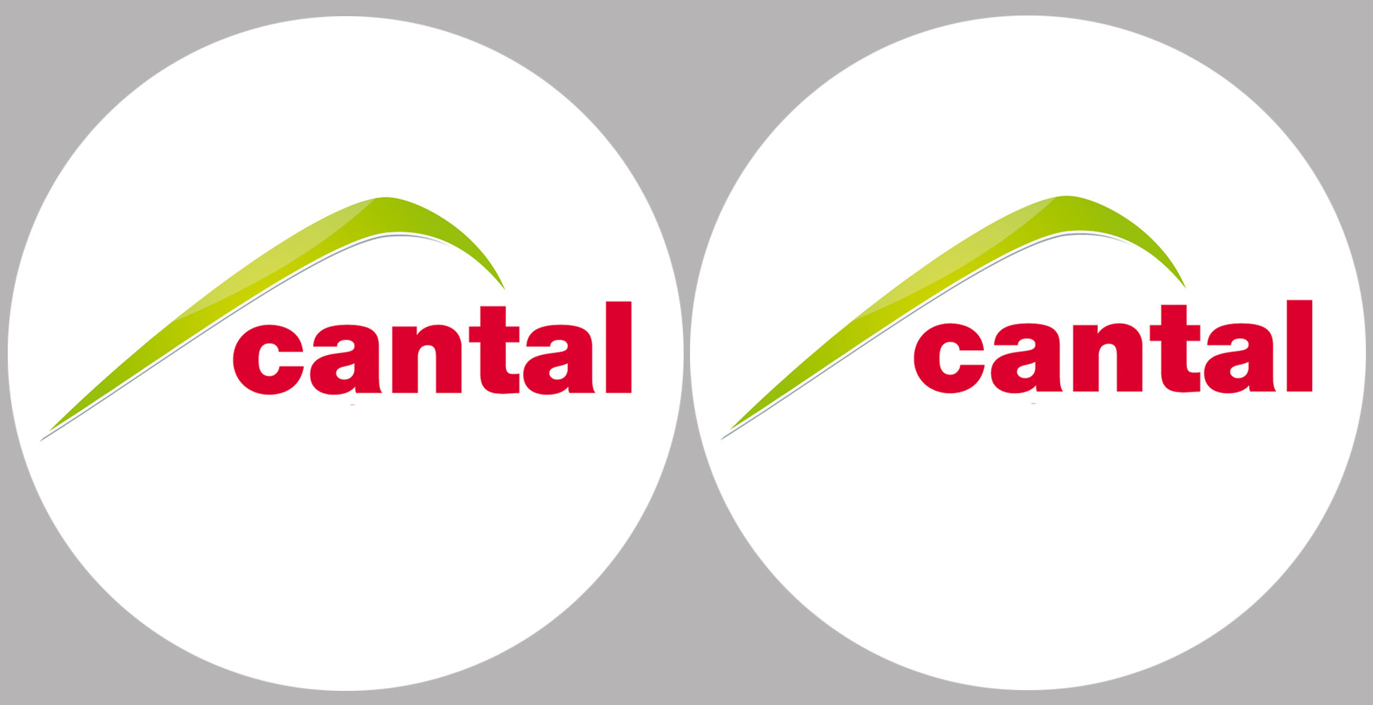 Cantal 15  - 2fois 5cm - Sticker/autocollant