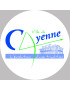 Cayenne - 5x5cm - Sticker/autocollant