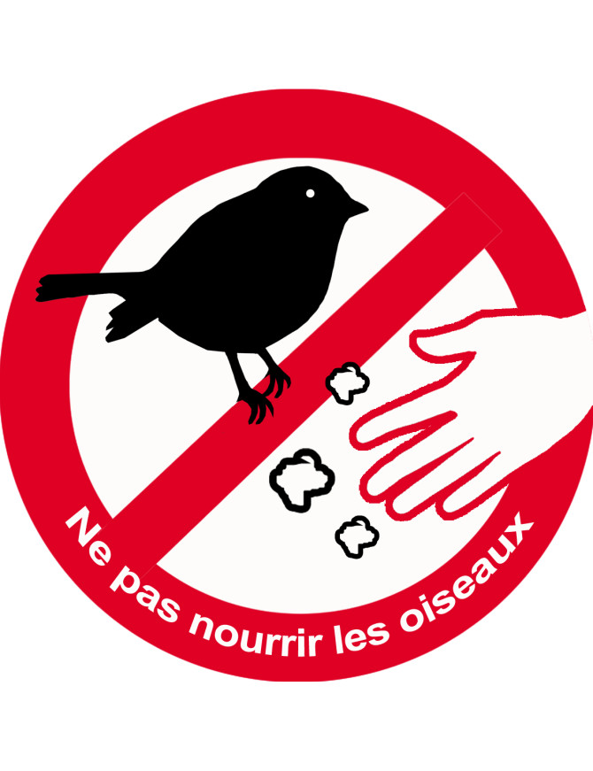 Ne pas nourrir les oiseaux - 10cm - Sticker/autocollant Ne pas nourrir les oiseaux - 10cm - Sticker/autocollant