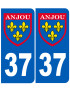 Immatriculation Anjou 37 Indre et Loire - Sticker/autocollant
