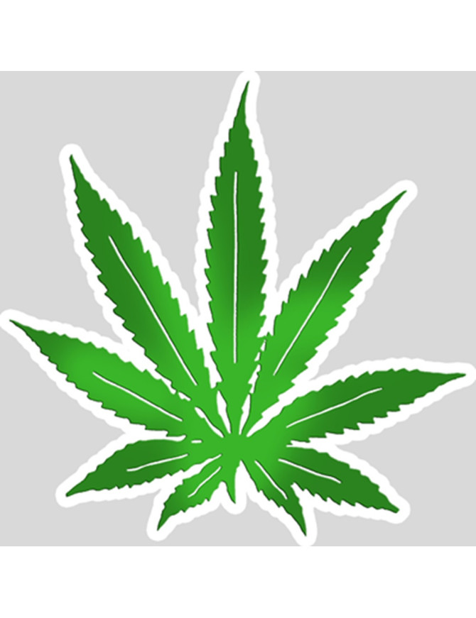 Feuille de cannabis (20x20cm) - Sticker/autocollant Feuille de cannabis (20x20cm) - Sticker/autocollant