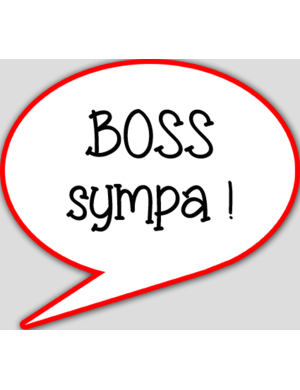 boss sympa - 15x13.5cm - sticker/autocollant