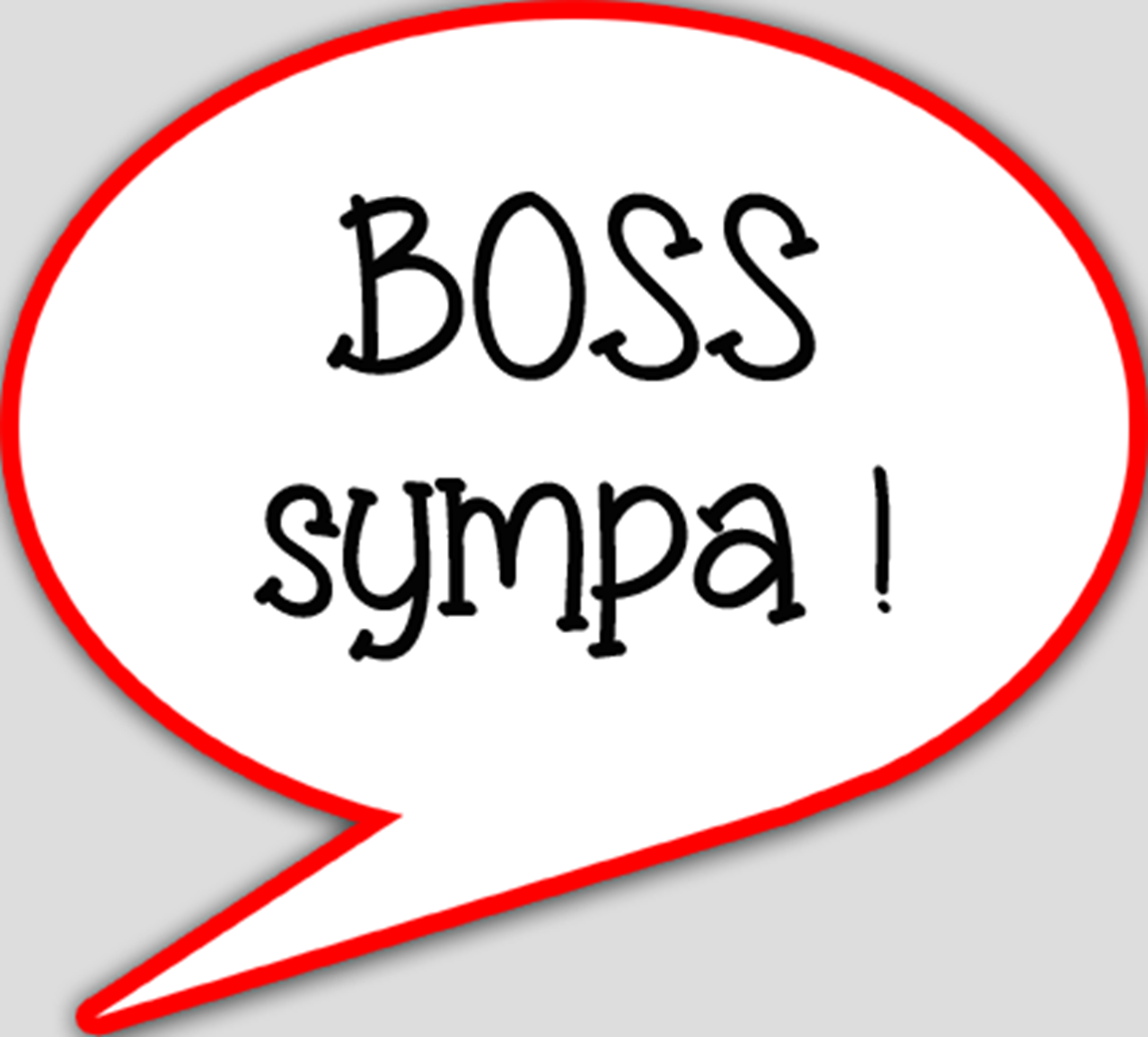 Boss sympa (15x13.5cm) - sticker/autocollant