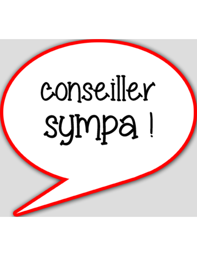 Conseiller sympa (15x13.5cm) - sticker/autocollant