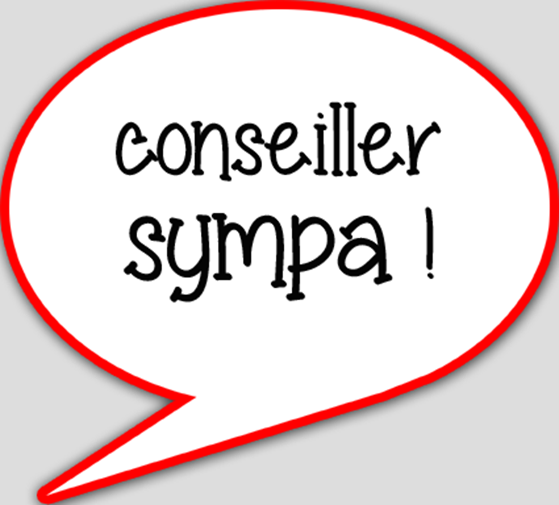 Conseiller sympa (15x13.5cm) - sticker/autocollant
