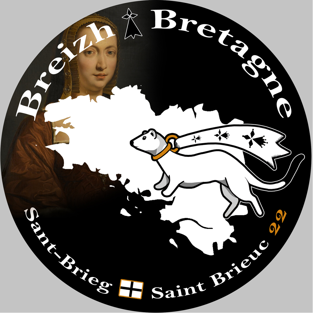 Sant-Brieg Saint Brieuc - 20x20cm - Sticker/autocollant