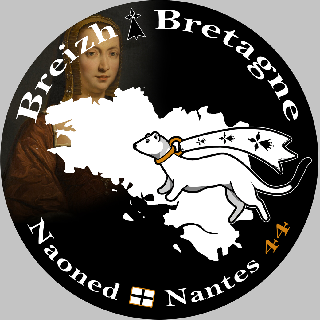 Naoned Nantes - 15x15cm - Sticker/autocollant