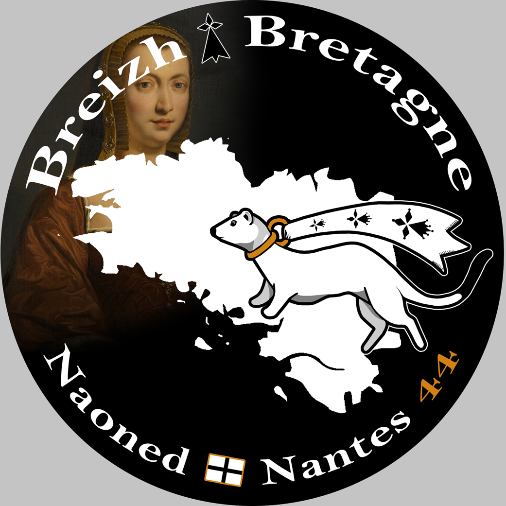 Naoned Nantes - 10x10cm - Sticker/autocollant