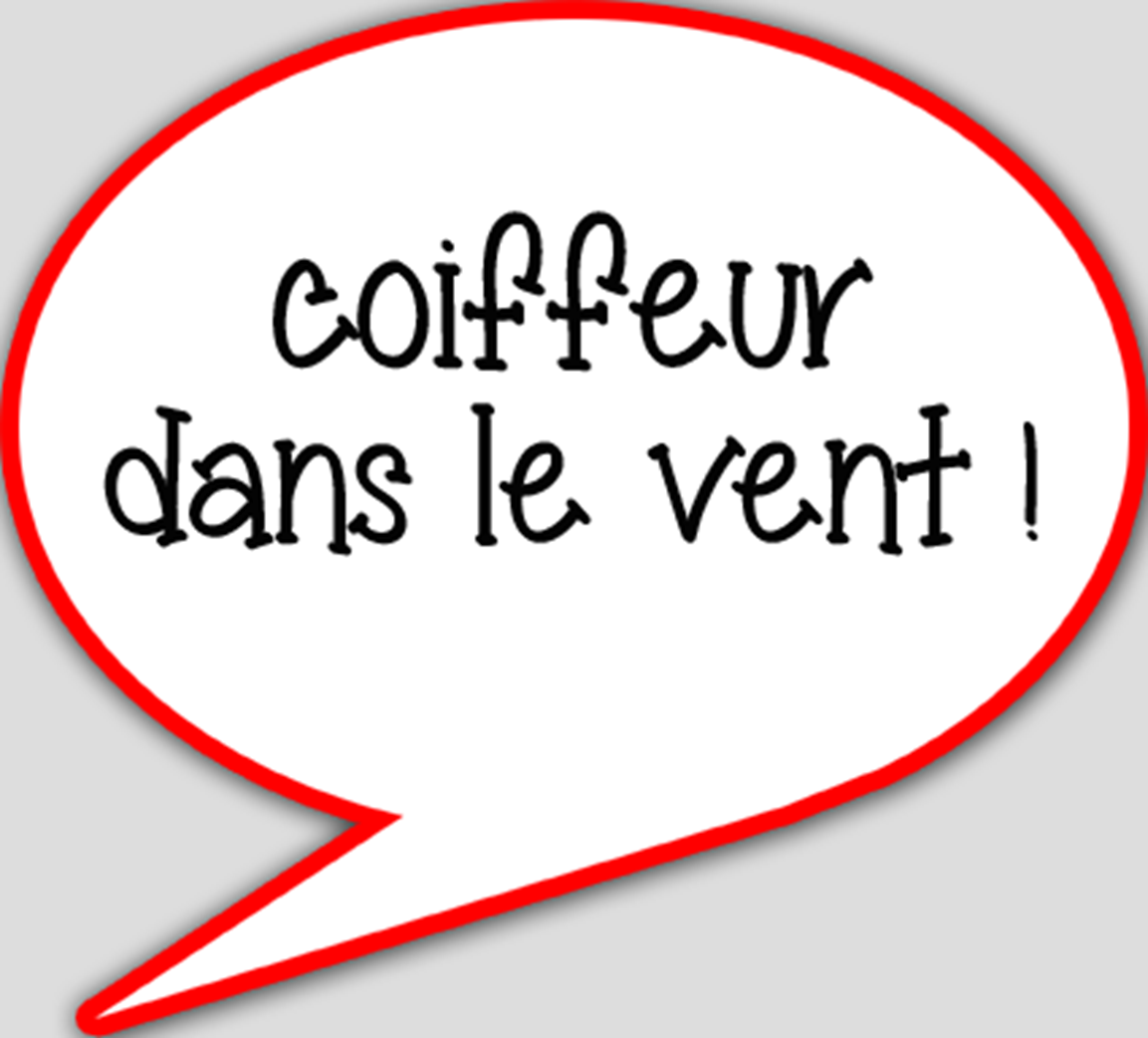 Coiffeur dans le vent - 15x13.5cm - sticker/autocollant