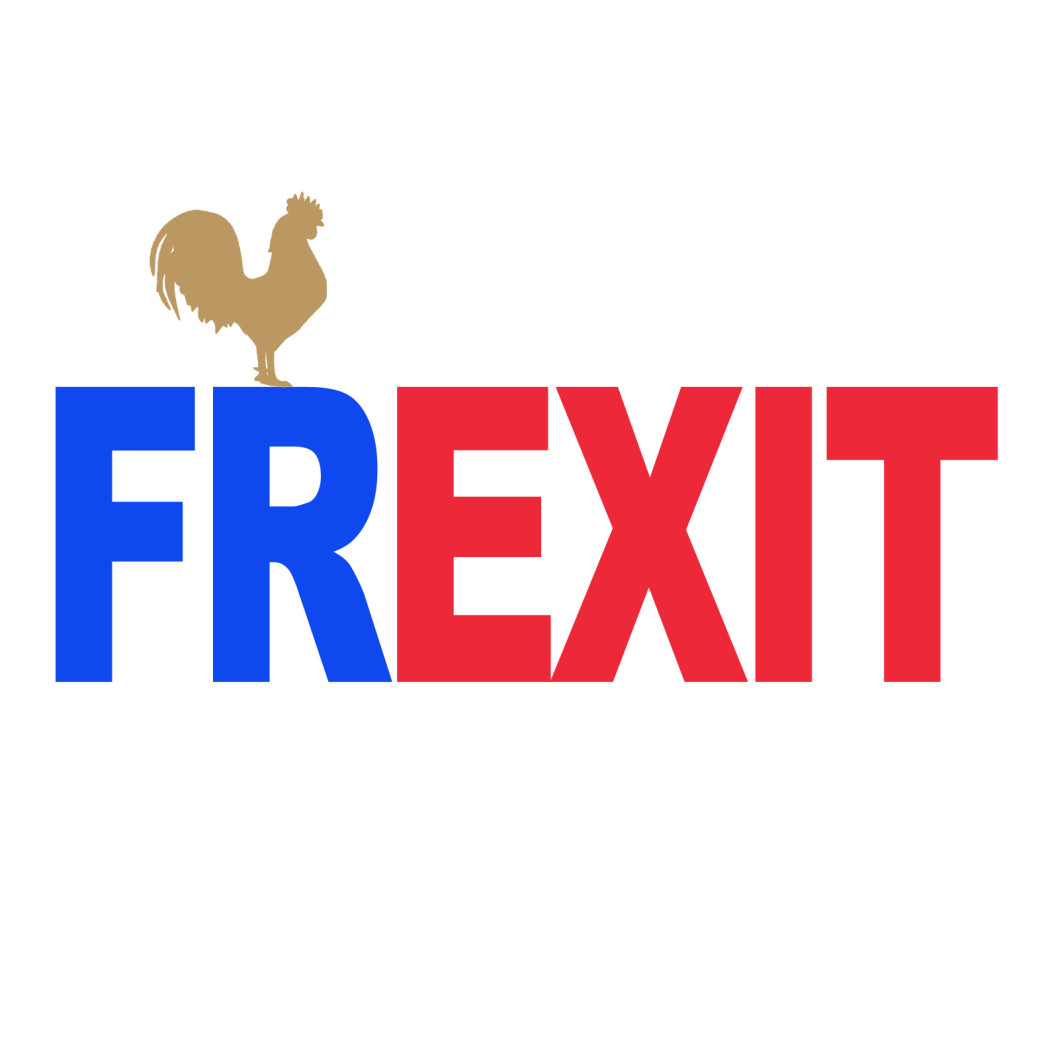 FREXIT UE - 29x19cm - Sticker/autocollant
