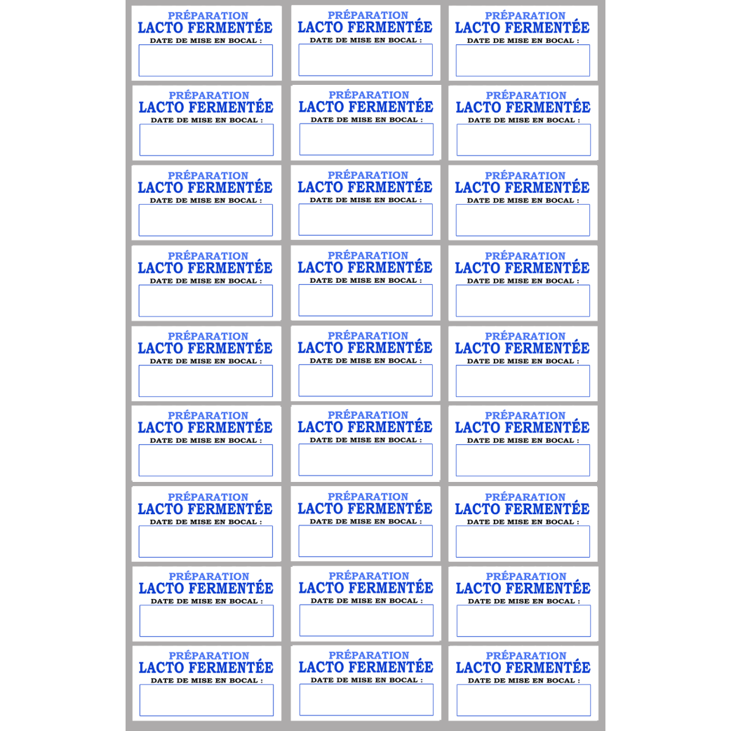 27 étiquettes préparation lacto-fermentée - 6x3cm - Sticker/autocollant