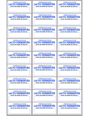 27 étiquettes préparation lacto-fermentée - 6x3cm - Sticker/autocollant