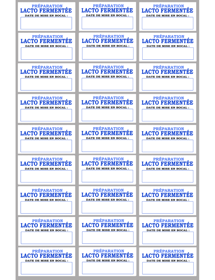 27 étiquettes préparation lacto-fermentée - 6x3cm - Sticker/autocollant