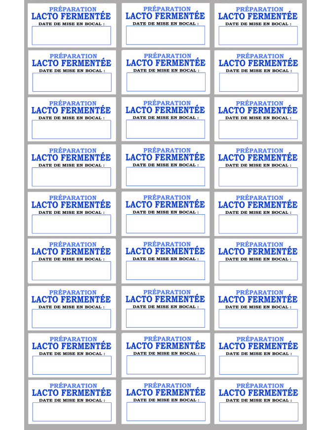 27 étiquettes préparation lacto-fermentée - 6x3cm - Sticker/autocollant