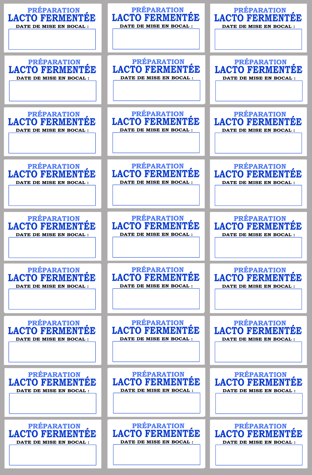 27 étiquettes préparation lacto-fermentée - 6x3cm - Sticker/autocollant