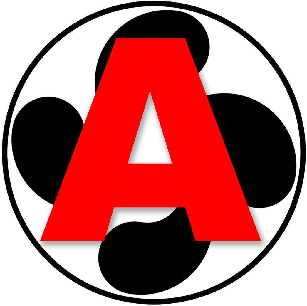 A jeune conducteur - Basque grande croix - 15cm - Sticker/autocollant