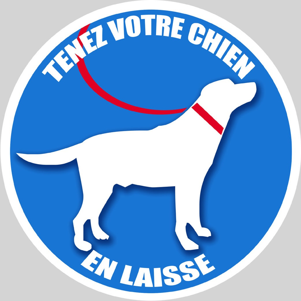 Tenez votre chien en laisse (10cm de diamètre) - Sticker/autocollant