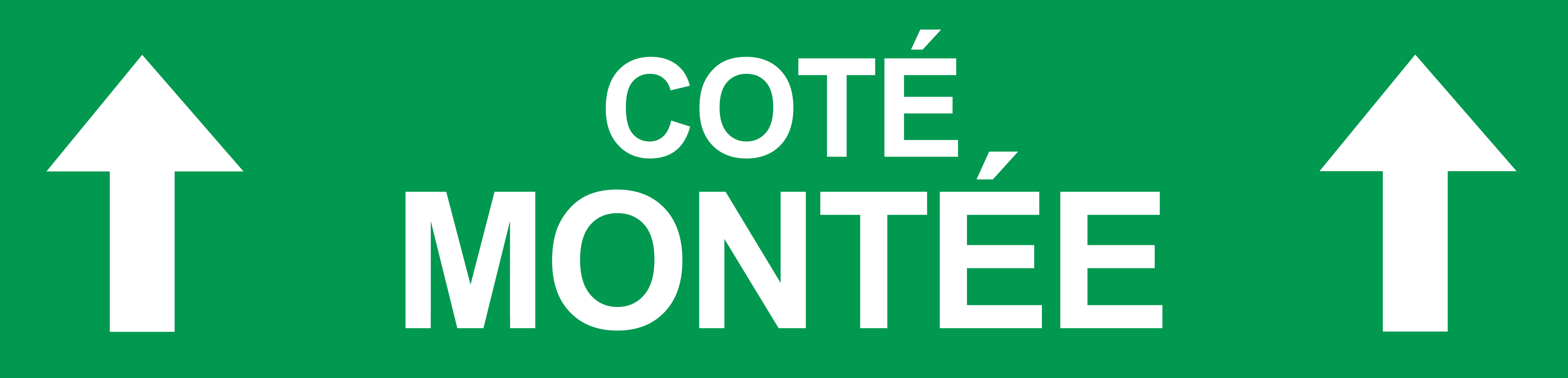 Coté montée vers haut vert (29x7cm) - Sticker/autocollant