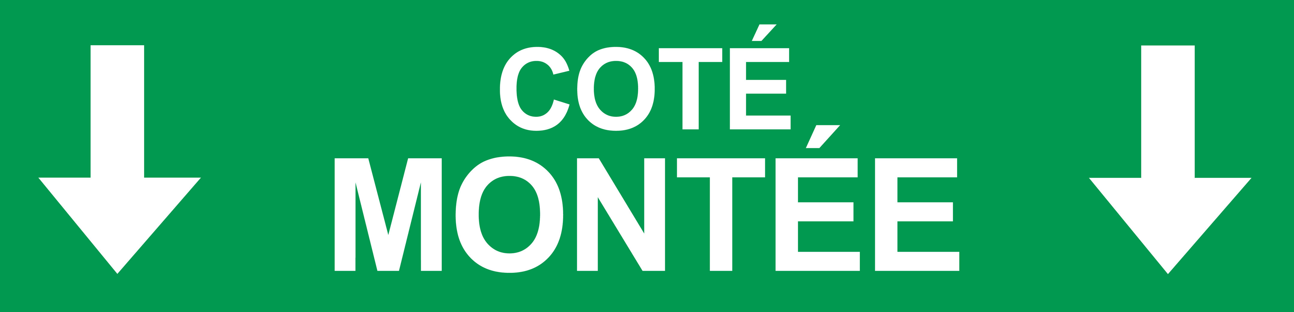 Coté montée vers bas vert (29x7cm) - Sticker/autocollant