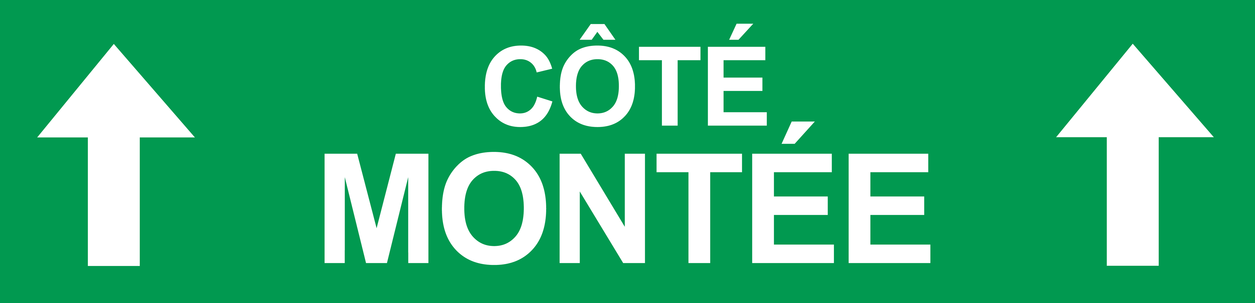 Coté montée vers haut vert (29x7cm) - Sticker/autocollant