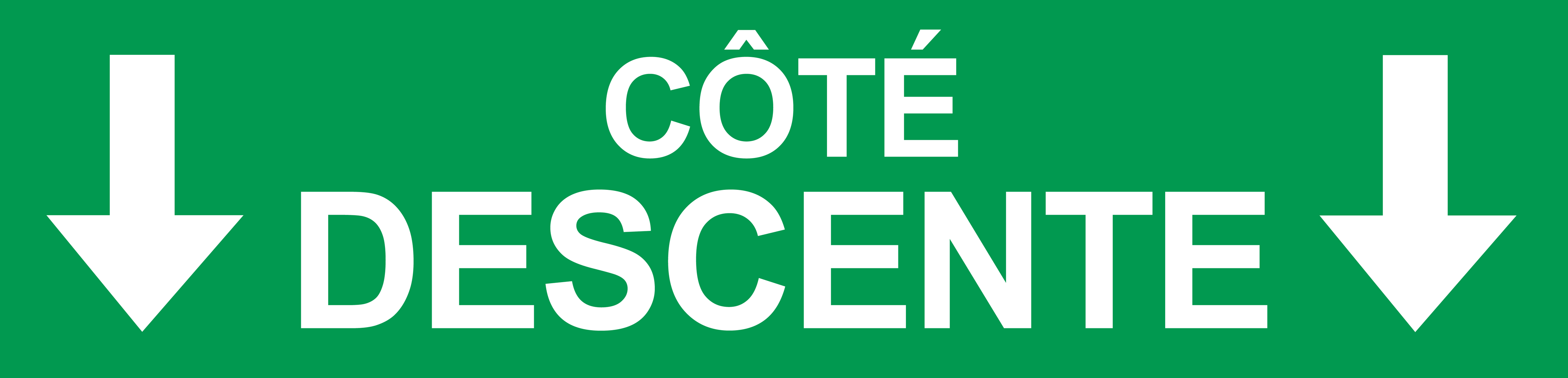 Coté descente vers bas vert (29x7cm) - Sticker/autocollant